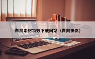 祁阳白鹅素材特效下载网站（白鹅摄影）